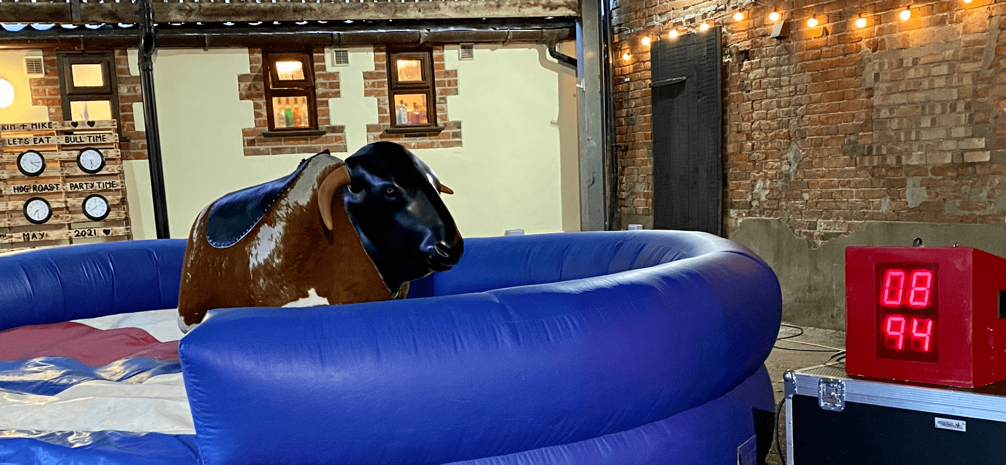 Rodeo bull at the dairy barns Norfolk 