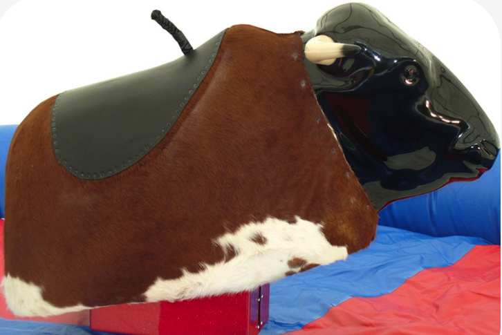 rodeo bull adult rides