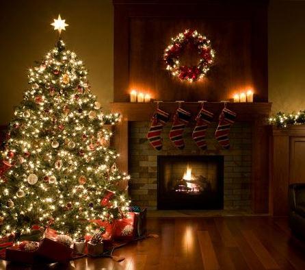 Christmas Tree Decor hire Norwich