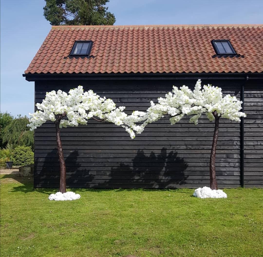Blossom trees hire norwich