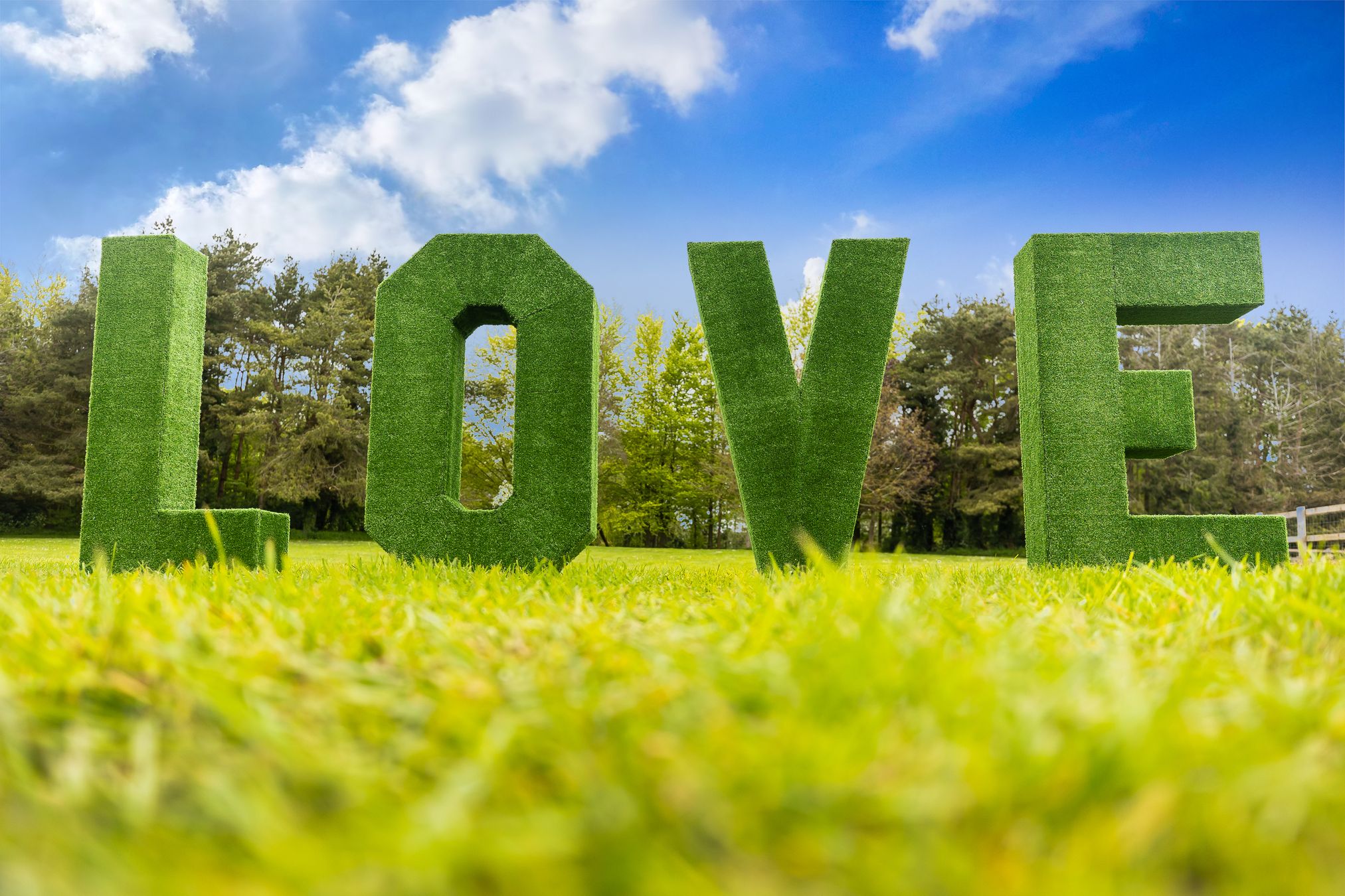 Grass Letters in a meadow based in Norwich