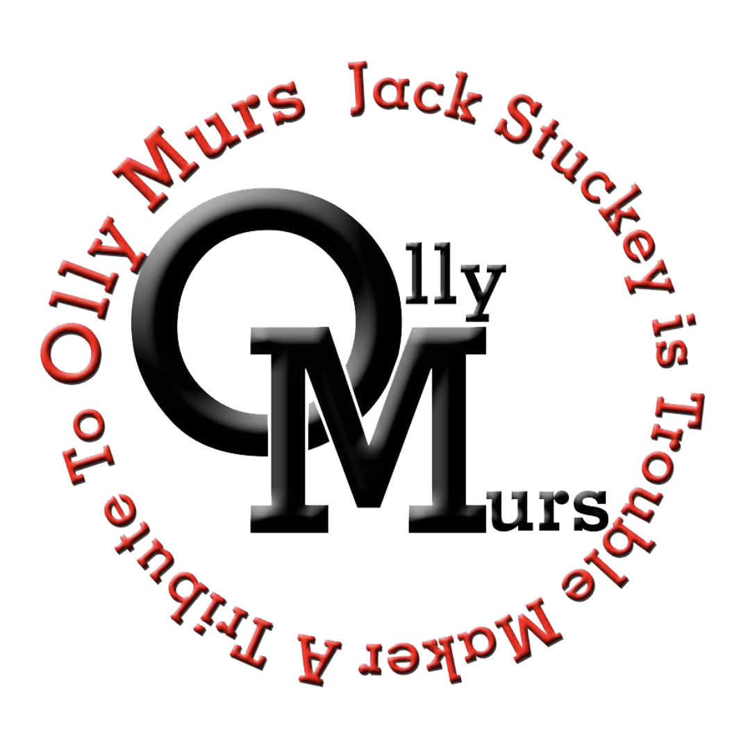 Olly Murs Tribute for Hire 