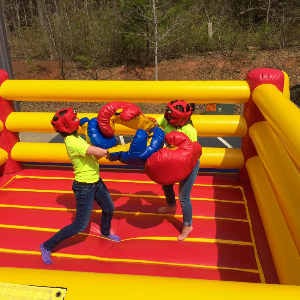 Bouncy Boxing Ring 