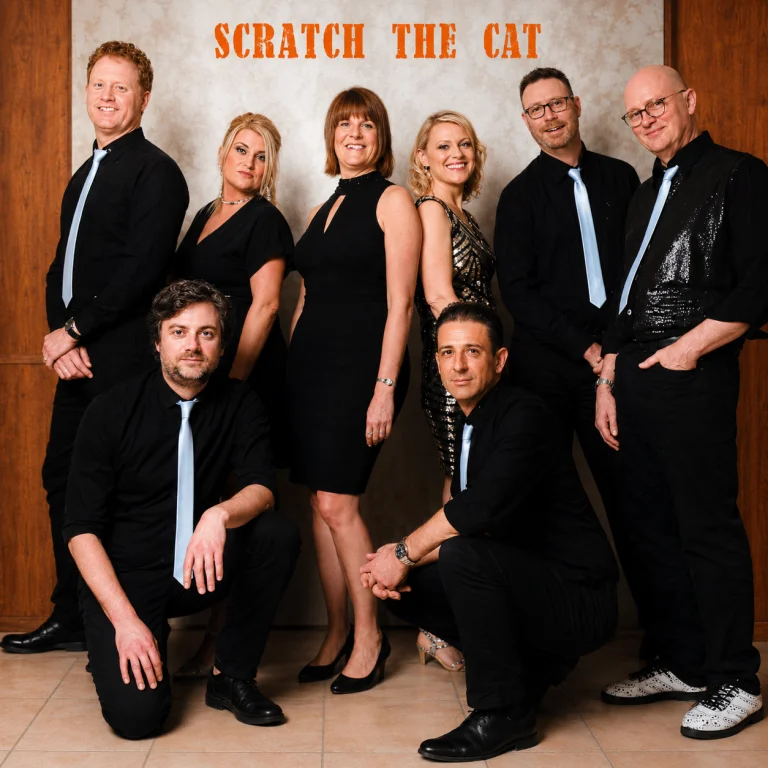 Scratch The Cat