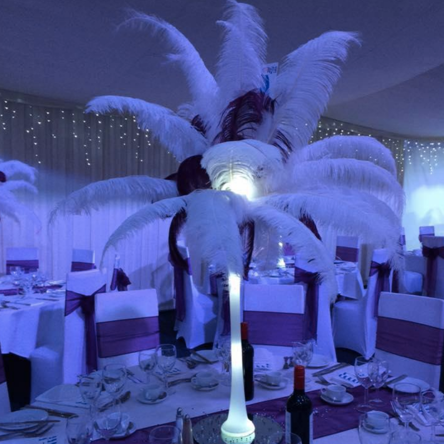 Feather Centrepiece