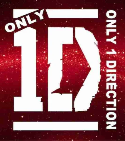 Only One Direction tribute